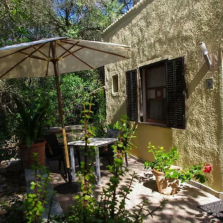 Rural Predio Son Serra